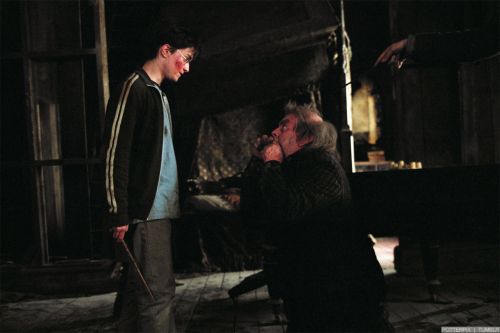 Click to view full size image
==============
hp3-stills-hd-14.jpg hp3-stills-hd-14.jpg