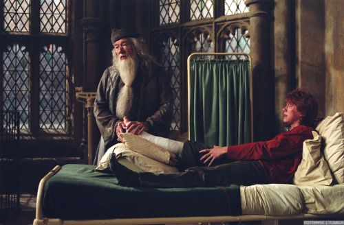 hp3-stills-hd-16.jpg