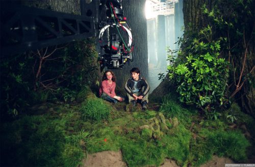 hp3-stills-hd-19.jpg