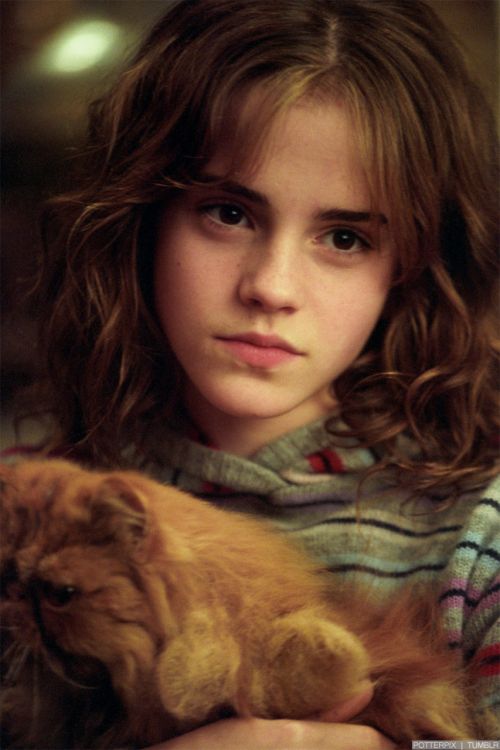 Click to view full size image
==============
hp3-stills-hd-21.jpg hp3-stills-hd-21.jpg