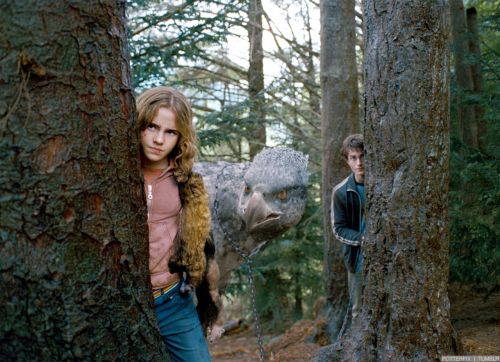 hp3-stills-hd-4.jpg