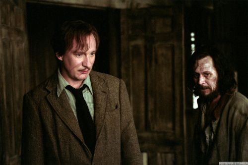 Click to view full size image
==============
hp3-stills-hd-7.jpg hp3-stills-hd-7.jpg