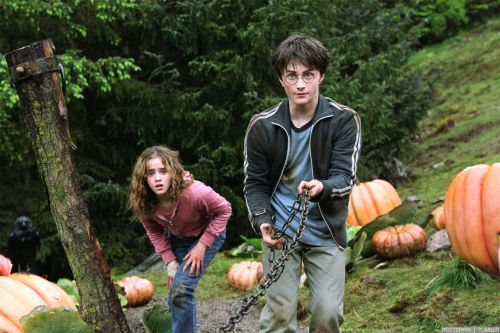 Click to view full size image
==============
hp3-stills-hd-8.jpg hp3-stills-hd-8.jpg