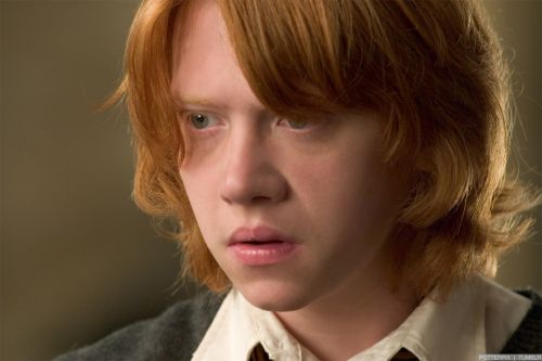 Click to view full size image
==============
hp4-stills-hd-20.jpg hp4-stills-hd-20.jpg
