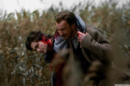 rdm1-stills-hd-12.jpg