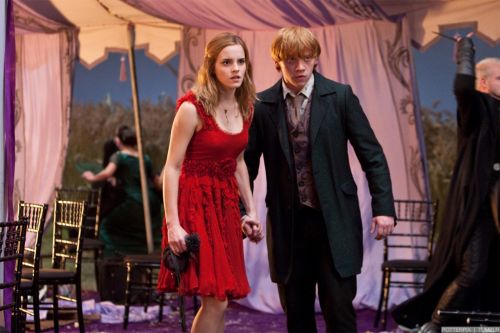 rdm1-stills-hd-13.jpg