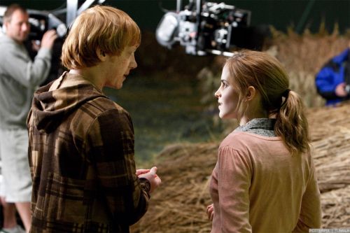 rdm1-stills-hd-17.jpg