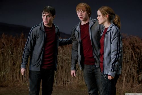 rdm1-stills-hd-29.jpg