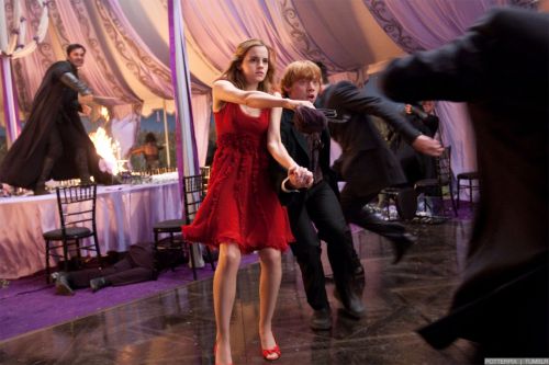 rdm1-stills-hd-4.jpg