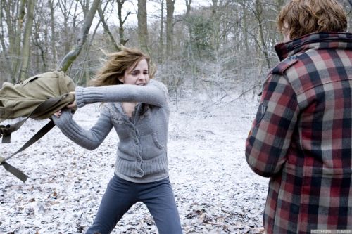rdm1-stills-hd-6.jpg