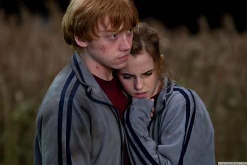 rdm1-stills-hd-8.jpg
