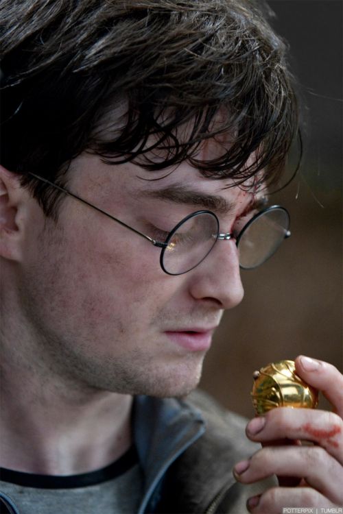 rdm2-stills-hd-15.jpg