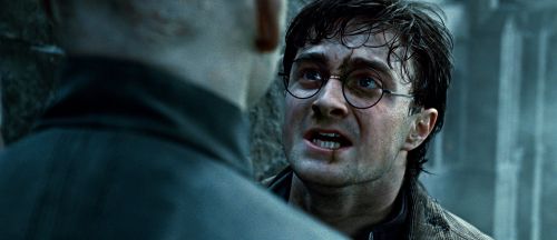 rdm2-stills-hd-2.jpg