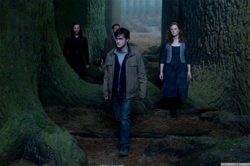 rdm2-stills-hd-54.jpg