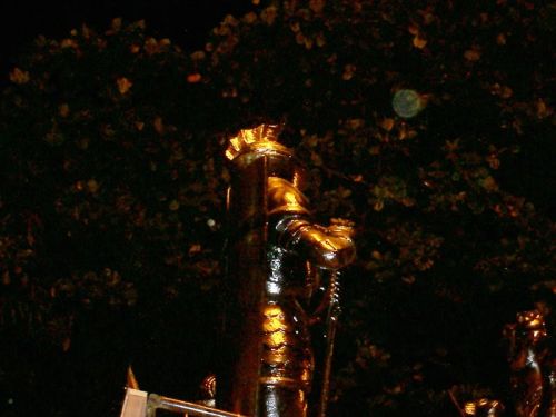 salgueiro5.jpg