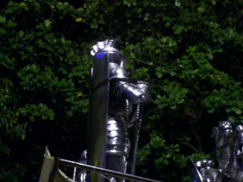 salgueiro6.jpg