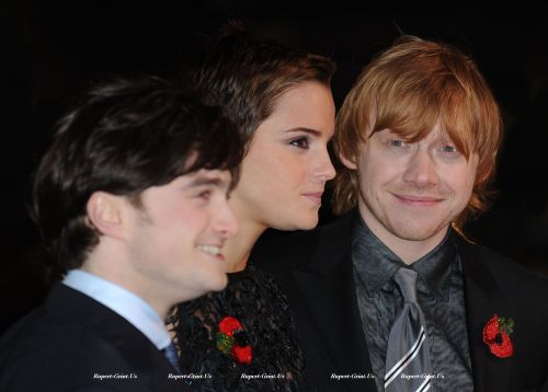 Click to view full size image
==============
spx_potter_12464_013.jpg spx_potter_12464_013.jpg