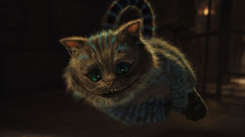 Click to view full size image
==============
still3.jpg still3.jpg