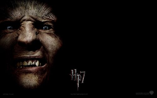 wallpaper-hp7-i-10-1920x1200.jpg