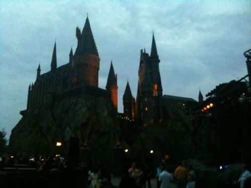 Click to view full size image
==============
wwohp_opening_celebritypreview__001.jpg wwohp_opening_celebritypreview__001.jpg