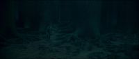 046C007D_HP7PT1_TRL1_1080_114.jpg