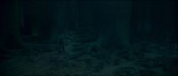 046C007D_HP7PT1_TRL1_1080_116.jpg