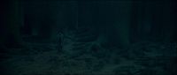 046C007D_HP7PT1_TRL1_1080_117.jpg