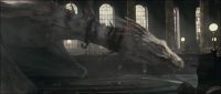 046C007D_HP7PT1_TRL1_1080_274.jpg