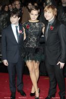 0EAGLE_HARRY_POTTER7_101110-01.jpg