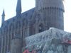 100_5624.JPG