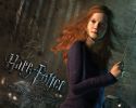 1280x1024_ginny_NDL_ENG.jpg