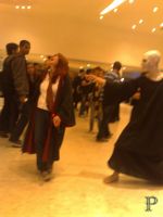 18112010206.jpg