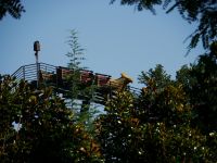 881990226_PBb7f-L.jpg