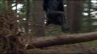 8E912DE2_HP7_ABC_FAMILY_INTERSTITIAL_FOREST_RUN_1080_098.jpg
