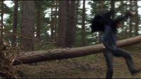 8E912DE2_HP7_ABC_FAMILY_INTERSTITIAL_FOREST_RUN_1080_101.jpg