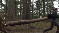 8E912DE2_HP7_ABC_FAMILY_INTERSTITIAL_FOREST_RUN_1080_102.jpg