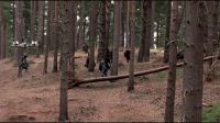 8E912DE2_HP7_ABC_FAMILY_INTERSTITIAL_FOREST_RUN_1080_104.jpg