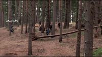 8E912DE2_HP7_ABC_FAMILY_INTERSTITIAL_FOREST_RUN_1080_105.jpg