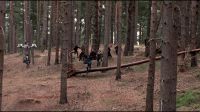 8E912DE2_HP7_ABC_FAMILY_INTERSTITIAL_FOREST_RUN_1080_110.jpg