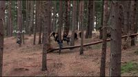 8E912DE2_HP7_ABC_FAMILY_INTERSTITIAL_FOREST_RUN_1080_111.jpg