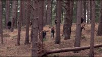 8E912DE2_HP7_ABC_FAMILY_INTERSTITIAL_FOREST_RUN_1080_129.jpg