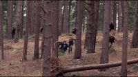 8E912DE2_HP7_ABC_FAMILY_INTERSTITIAL_FOREST_RUN_1080_131.jpg