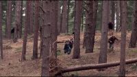 8E912DE2_HP7_ABC_FAMILY_INTERSTITIAL_FOREST_RUN_1080_133.jpg