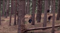 8E912DE2_HP7_ABC_FAMILY_INTERSTITIAL_FOREST_RUN_1080_134.jpg
