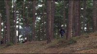 8E912DE2_HP7_ABC_FAMILY_INTERSTITIAL_FOREST_RUN_1080_165.jpg