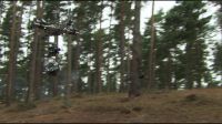 8E912DE2_HP7_ABC_FAMILY_INTERSTITIAL_FOREST_RUN_1080_197.jpg