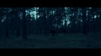 8E912DE2_HP7_ABC_FAMILY_INTERSTITIAL_FOREST_RUN_1080_239.jpg