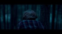 8E912DE2_HP7_ABC_FAMILY_INTERSTITIAL_FOREST_RUN_1080_268.jpg