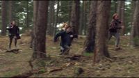 8E912DE2_HP7_ABC_FAMILY_INTERSTITIAL_FOREST_RUN_1080_280.jpg
