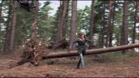 8E912DE2_HP7_ABC_FAMILY_INTERSTITIAL_FOREST_RUN_1080_287.jpg